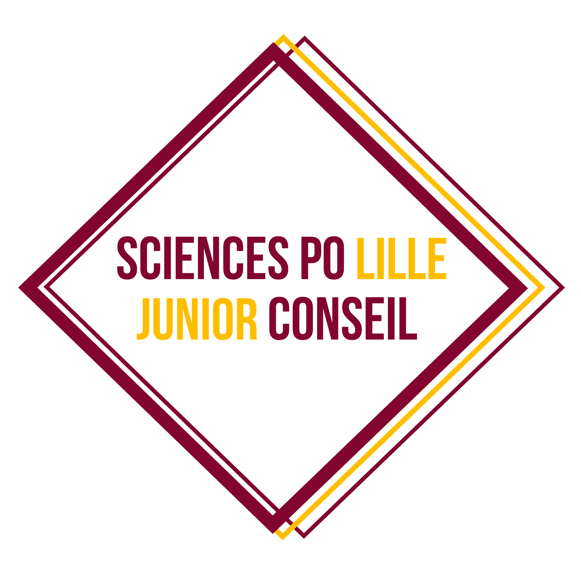 Sciences Po Lille Junior